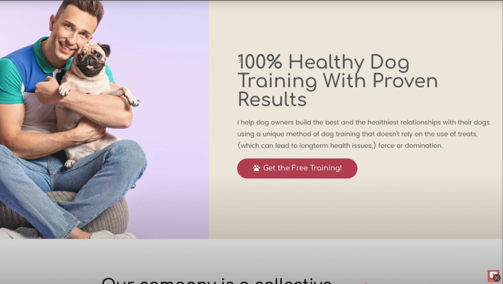 Professional website redesign example